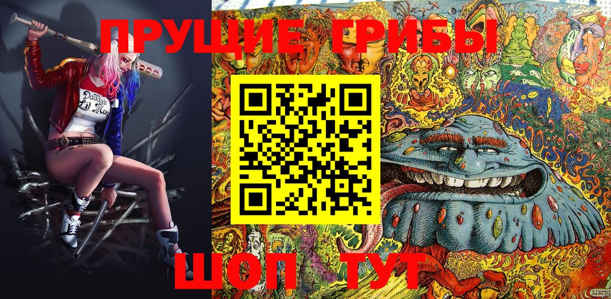 Галлюциногенные грибы Psilocybe Гусь-Хрустальный