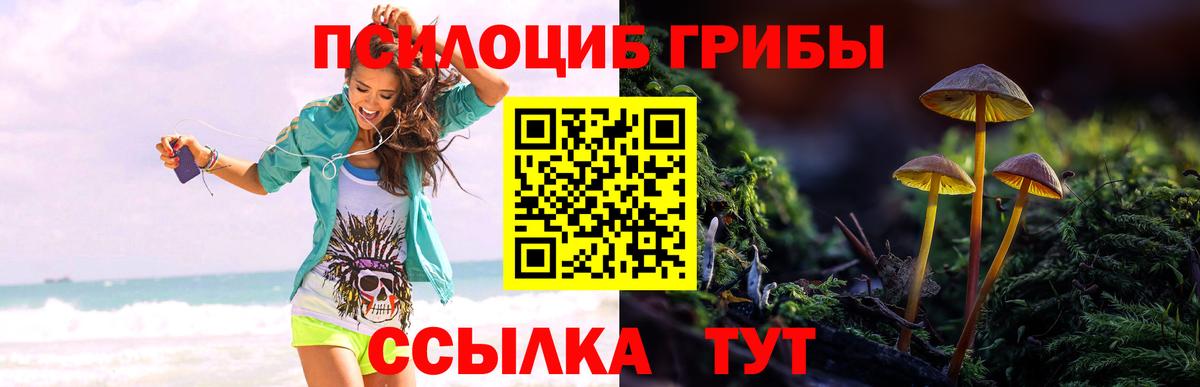 Гусь-Хрустальный  Псилоцибиновые грибы Cubensis  где можно купить наркотик  Псилоцибиновые грибы Psilocybe  Вход с VPN 